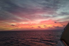 IMG_20211114_063946754