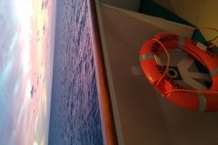 IMG_20211114_063953988