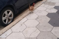 IMG_20211113_105115613
