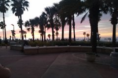 IMG_20211112_174310110