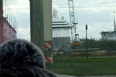 Serenade of the Seas