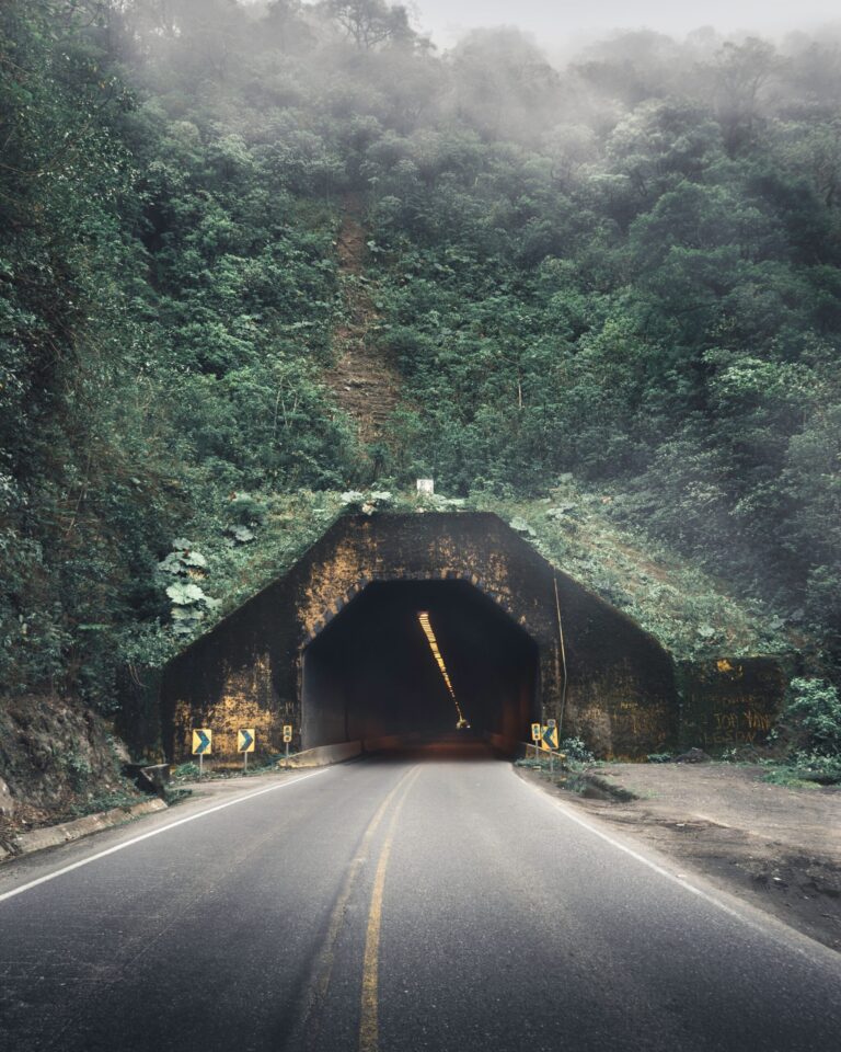 Road leading into a dark tunnel beneath a misty forested hillside