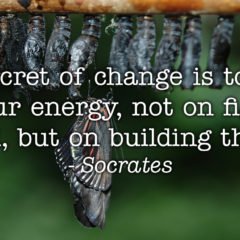 The secret of change is to focus all your energy, not on fighting the old, but on building the new. Socrates