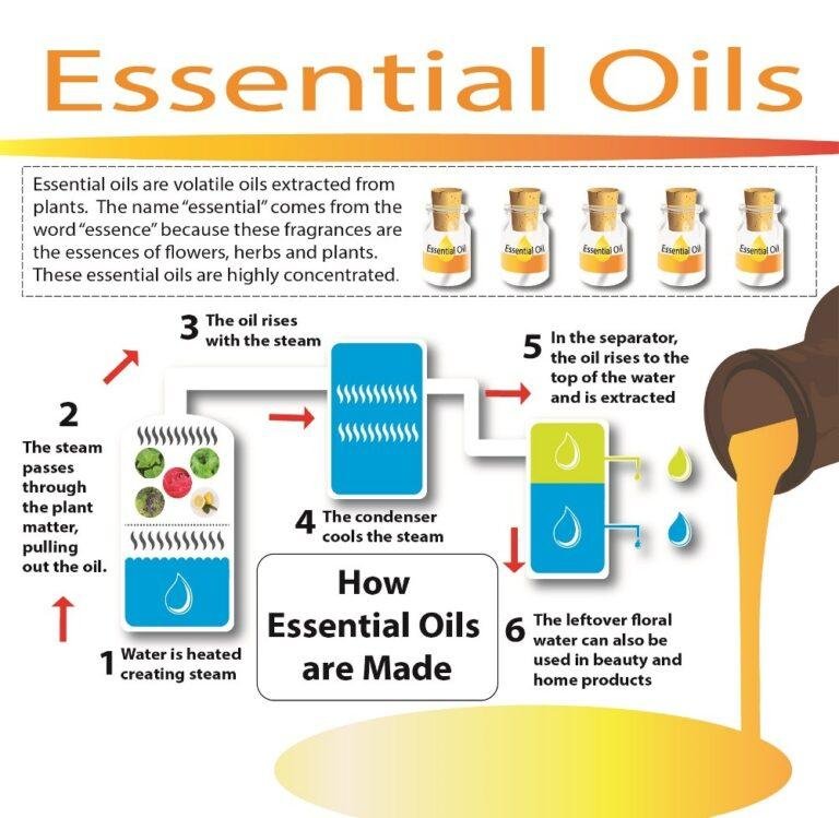 What are essential oils?