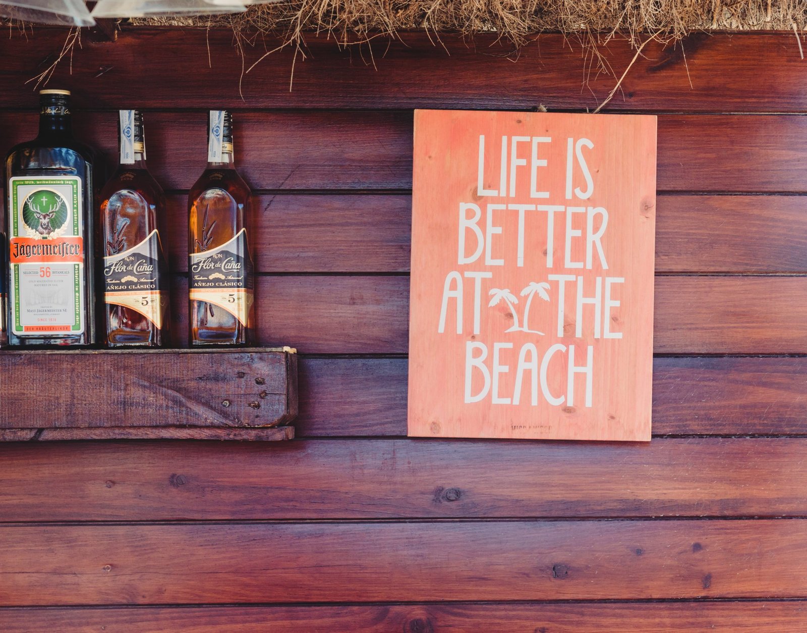 Life is better at the beach