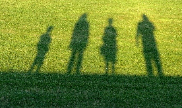 shadows of a family in green grass