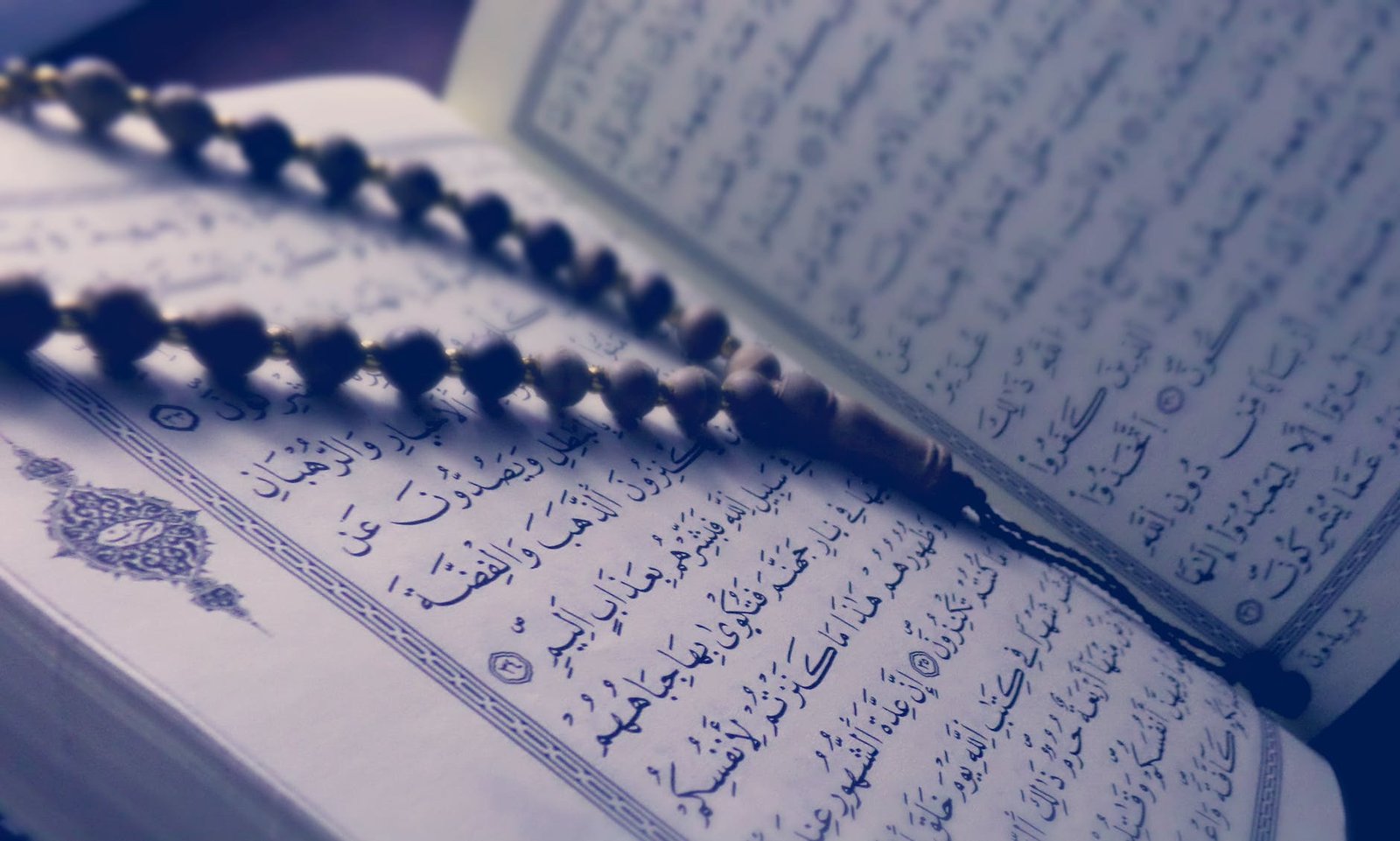 monochrome photo of quran