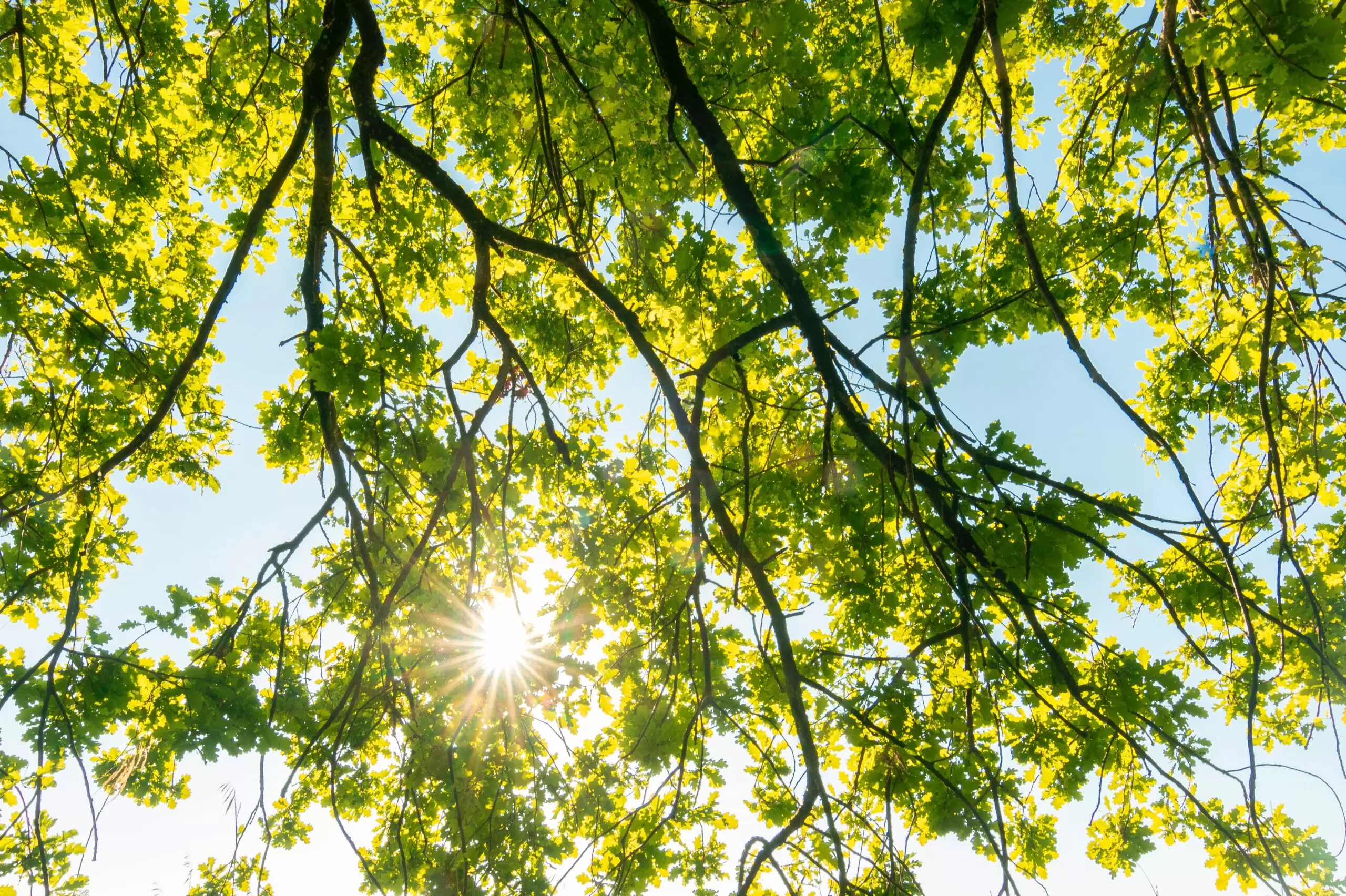 The Science of Being Well